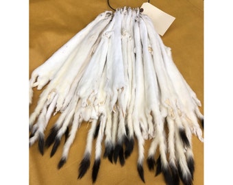 Weasel Fur Pelts