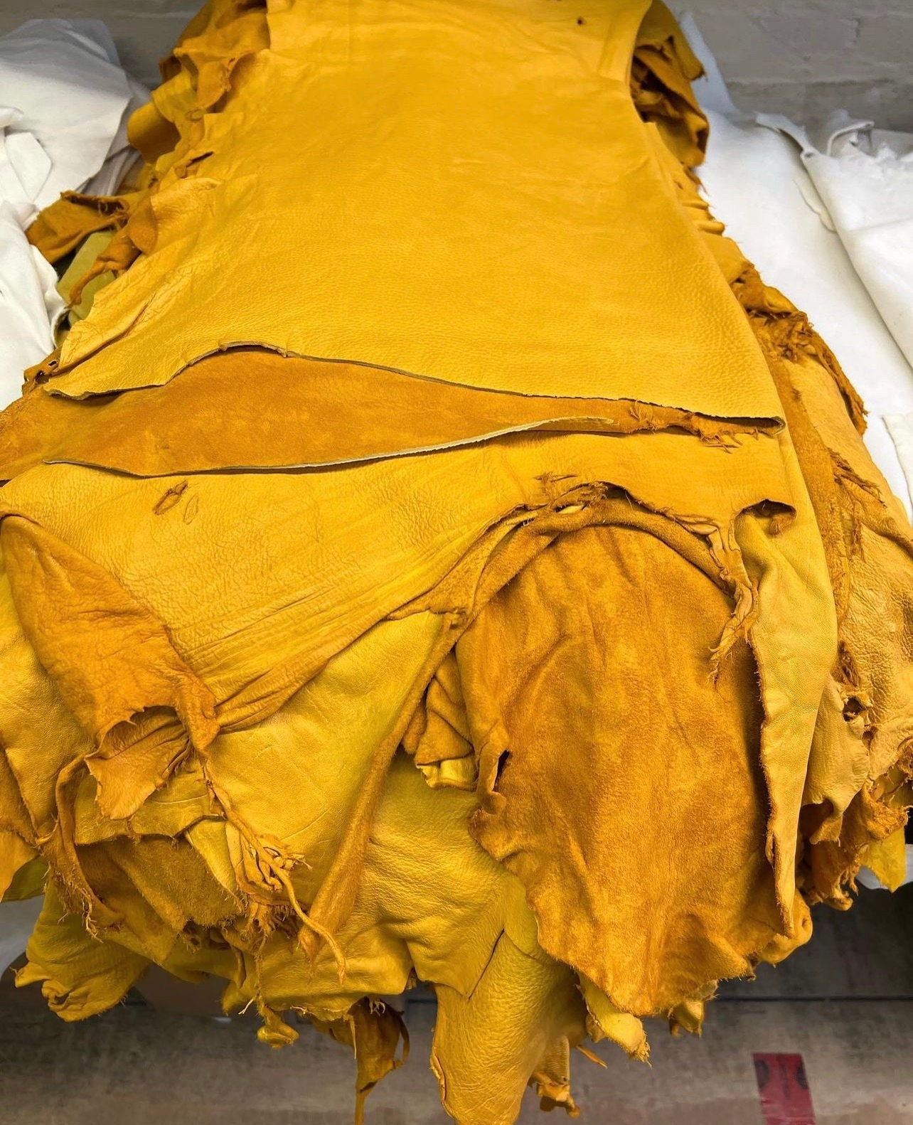 Deer polished leather Hides