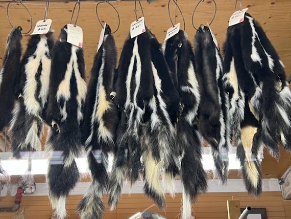 Skunk Fur Pelts - Etsy
