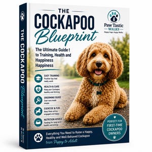 De Cockapoo-blauwdruk | Volledige Cockapoo-gids | Cockapoo-puppytraining | Cockapoo Care-e-boek | Gids voor hondentraining | Digitale download