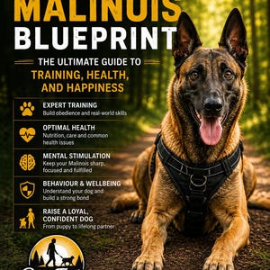 The Belgian Malinois Blueprint