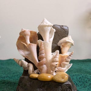 Seashell Flower Arrangement: Coastal Tabletop Decor