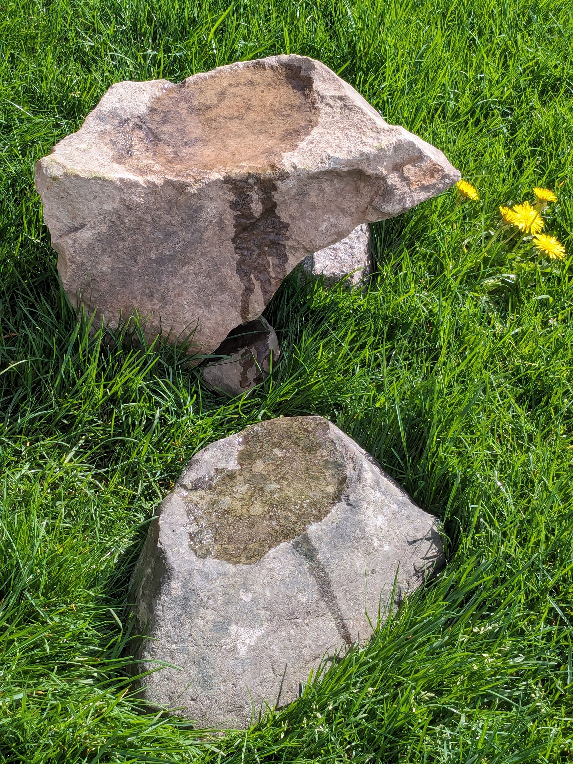 Puddle Stone Natural Stone Dishes: Bonsai Puddle Stones - Hudson River Find - Etsy