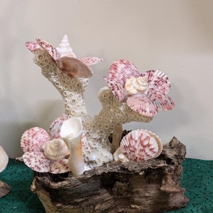 Seashell Flower Coral Centerpiece: Coastal Nautical Decor