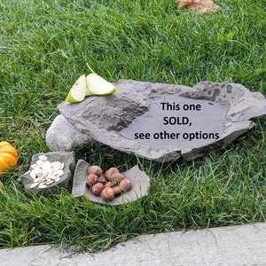 May include: A natural stone bird bath with the text "This one SOLD, see other options". The bird bath is surrounded by grass, a small pumpkin, seeds, and acorns. Sliced green apples rest on the edge.