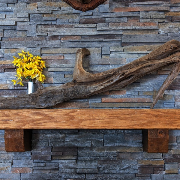 Driftwood trunk, large! Beaver chewed, with woodpecker holes, branches - mantel piece, taxidermy mount, plant pillar