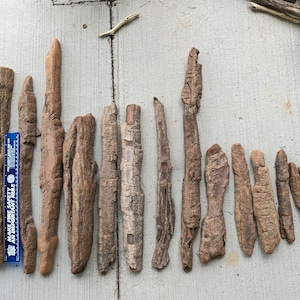 May include: A collection of 14 pieces of driftwood, ranging in size and shape, with a natural brown color. The driftwood is arranged in a row on a light gray surface.