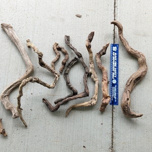 Driftwood pieces & branches of unusual shapes and lengths, curves, gnarly, bent, holes, straight, branched, with/without bark - see options.