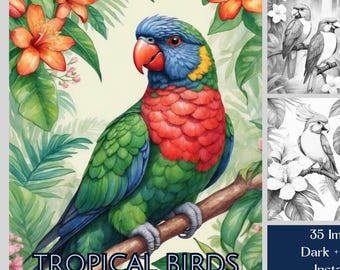熱帯の鳥の塗り絵：グレースケールの花柄デザイン（PDFダウンロード、35ページ）