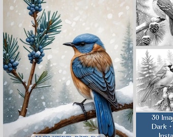 30 Bird Coloring Pages, Winter Birds Adult Coloring Book, Cute Birds In Snowy Forest Scenes, Grayscale Printable Bird Coloring Pages PDF