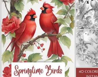 Springtime Birds Coloring Book: 40 Grayscale Pages, Printable PDF