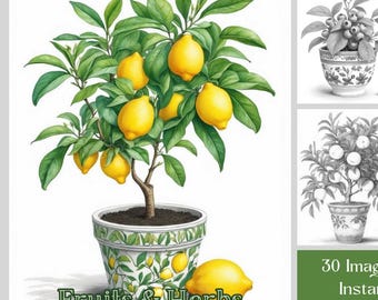 Botanical Coloring Book: 30 Fruit Trees & Herbs, Grayscale Coloring Pages,  Printable PDF