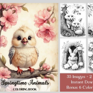 35 Animal Coloring Pages, Springtime Animals Kawaii Coloring Pages, Bird, Owl, Bunny, Duck, Squirrel Coloring Book PDF, Printable Grayscale
