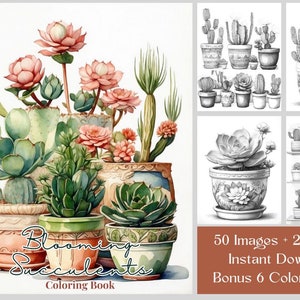 May include: A coloring book featuring blooming succulents in pots. The cover features a watercolor illustration of a variety of succulents, including a cactus, echeveria, and sedum. The title of the book is "Blooming Succulents Coloring Book".