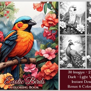 30 Birds Coloring Book, Tropical Birds Printable Coloring Pages PDF, Adults & Kids Grayscale Bird Coloring Pages, Instant Download