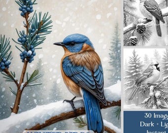 Winter Birds: Printable Grayscale Coloring Book, 30 Coloring Pages, Instant Digital Download PDF