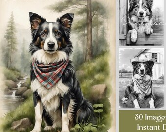 ボーダーコリーの塗り絵：グレースケール30ページ、印刷可能なPDF、即時デジタルダウンロード