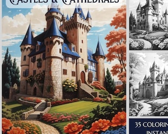 Livre de coloriage Châteaux médiévaux : 35 pages en niveaux de gris, PDF imprimable