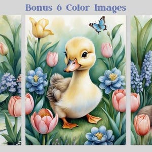 May include: Three illustrations of animals in a garden setting. A brown and white chipmunk sits on a lily pad, a yellow duckling stands in a bed of pink and blue flowers, and a brown and white ferret sits on a rock.