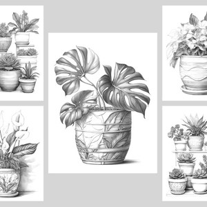 Pode incluir: Uma cole&ccedil;&atilde;o de seis desenhos a l&aacute;pis em preto e branco de plantas em vasos. Os desenhos est&atilde;o dispostos em uma grade de tr&ecirc;s linhas e duas colunas. Cada desenho apresenta um tipo diferente de planta, incluindo uma monstera, uma l&iacute;rio da paz e uma suculenta. As plantas s&atilde;o todas desenhadas em um estilo realista, com aten&ccedil;&atilde;o aos detalhes nas folhas, caules e vasos.