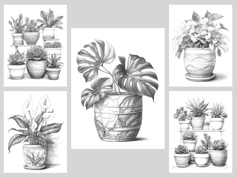 Pode incluir: Uma cole&ccedil;&atilde;o de seis desenhos a l&aacute;pis em preto e branco de plantas em vasos. Os desenhos est&atilde;o dispostos em uma grade de tr&ecirc;s linhas e duas colunas. Cada desenho apresenta um tipo diferente de planta, incluindo uma monstera, uma l&iacute;rio da paz e uma suculenta. As plantas s&atilde;o todas desenhadas em um estilo realista, com aten&ccedil;&atilde;o aos detalhes nas folhas, caules e vasos.