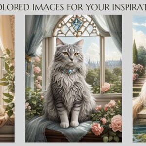 May include: Three images of fluffy cats with blue jeweled collars. The first cat is orange and white, sitting on a windowsill with a view of a building and trees. The second cat is gray and white, sitting on a windowsill with a view of a city. The third cat is brown and white, sitting on a stone ledge with a view of a garden and a house.