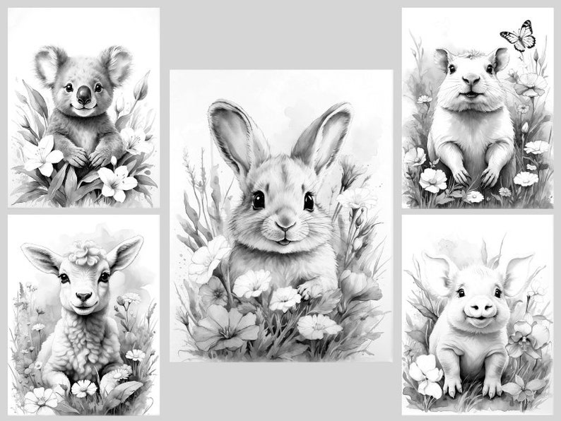 May include: Five black and white illustrations of animals in a field of flowers. The animals are a koala, a rabbit, a guinea pig, a lamb, and a pig.