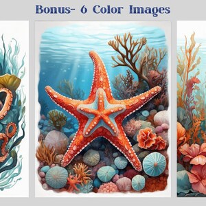 May include: Three underwater illustrations featuring an orange octopus, a red starfish, and a brown and white seahorse. Each illustration is surrounded by coral and seaweed.