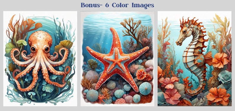 May include: Three underwater illustrations featuring an orange octopus, a red starfish, and a brown and white seahorse. Each illustration is surrounded by coral and seaweed.