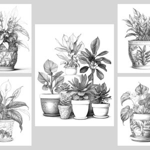 Pode incluir: Um desenho a preto e branco de cinco plantas em vasos. As plantas s&atilde;o de diferentes tipos, incluindo uma l&iacute;rio da paz, uma suculenta e uma samambaia. Os vasos s&atilde;o de diferentes formas e tamanhos, e alguns t&ecirc;m desenhos decorativos.
