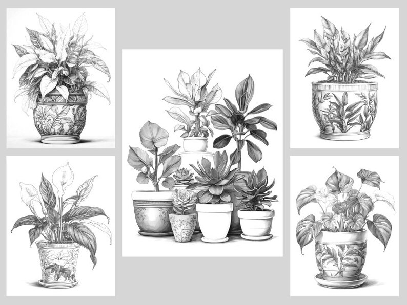 Pode incluir: Um desenho a preto e branco de cinco plantas em vasos. As plantas s&atilde;o de diferentes tipos, incluindo uma l&iacute;rio da paz, uma suculenta e uma samambaia. Os vasos s&atilde;o de diferentes formas e tamanhos, e alguns t&ecirc;m desenhos decorativos.