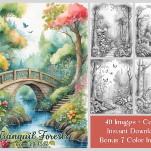 40 Forest Coloring Pages, Enchanted Tranquil Forests Adult Coloring Book, Printable Grayscale Nature, Tree, Butterfly, Bird, Flower Coloring