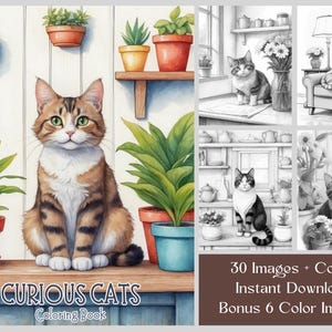 30 Cat Coloring Pages, Curious Cats Coloring Book For Adults & Kids, Printable Grayscale Cat Coloring Pages, Cute Kittens Coloring Book