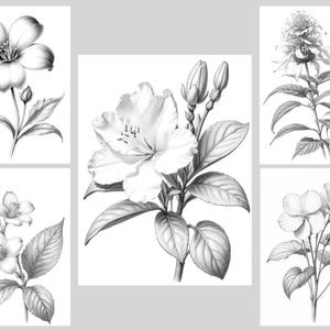May include: Five black and white drawings of different flowers. Each drawing features a single flower with leaves and stems.