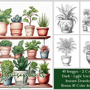 40 Plant Coloring Pages - Printable Pretty Succulent, Cactus, Houseplant Coloring Pages - Indoor Plant Coloring Book - Grayscale Coloring