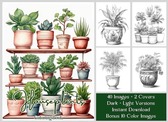 40 Plant Coloring Pages - Printable Pretty Succulent, Cactus, Houseplant Coloring Pages - Indoor Plant Coloring Book - Grayscale Coloring
