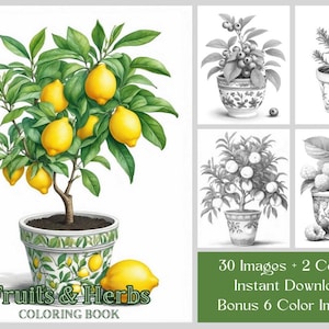 30 Botanical Coloring Pages, Fruit & Herbs Adult Coloring Book, Pretty Potted Fruit Trees, Fruit Bushes and Herbs, Printable Grayscale PDF