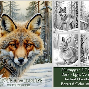30 種類の野生動物のぬり絵、冬の野生動物のぬり絵、冬の風景の中の森の動物、グレースケールの印刷可能な自然のぬり絵の PDF