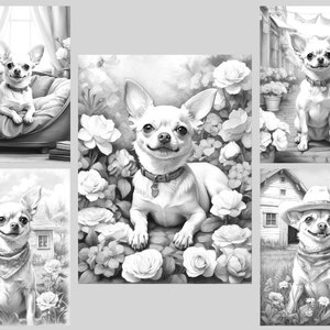 May include: A collection of five black and white illustrations featuring a chihuahua dog in different settings. The chihuahua is shown in a bed, in a garden with roses, in a yard, and wearing a cowboy hat.