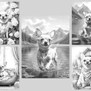 May include: A black and white colouring book page featuring five illustrations of a chihuahua dog in different settings. The chihuahua is shown in a garden, by a lake, and in a house.