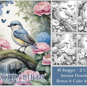45 pages à colorier d'oiseaux floraux, livre de coloriage oiseaux de jardin, PDF imprimable oiseaux en niveaux de gris, adultes et enfants, coloriage de jardin fantastique