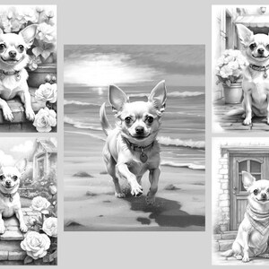 May include: A black and white illustration of four adorable chihuahua dogs in different settings. One chihuahua is sitting on a porch with flowers, another is running on a beach, another is sitting on a porch with a door, and the last one is sitting on a porch with a door and flowers.