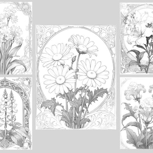 May include: Five black and white line drawings of different flowers in ornate frames. The flowers include a cluster of lilies, a daisy, a cluster of foxgloves, and two different types of carnations.