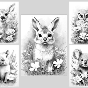 May include: Five black and white illustrations of animals in a garden setting. A deer, a rabbit, an owl, a rodent, and a koala are each depicted in a separate image. Each animal is surrounded by flowers and foliage.