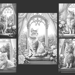 May include: A black and white illustration of four cats sitting in windows. Each cat is looking out the window. The windows are arched and have ornate frames. The cats are all different breeds and have different expressions.