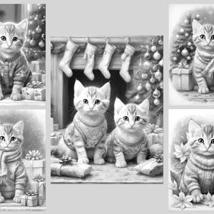 May include: A collection of five black and white illustrations featuring kittens in various holiday settings. The kittens are depicted wearing knitted sweaters and scarves, surrounded by Christmas trees, wrapped gifts, and stockings.