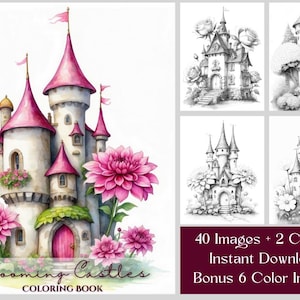 May include: A colouring book featuring a pink and white castle with pink flowers. The title of the book is "Blooming Castles Colouring Book". The book includes 40 images, 2 covers, and 6 colour images.