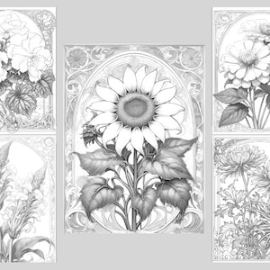 May include: Five black and white illustrations of different flowers in ornate frames. The flowers include a sunflower, a zinnia, a chrysanthemum, a begonia, and a flower with a long, thin stem.