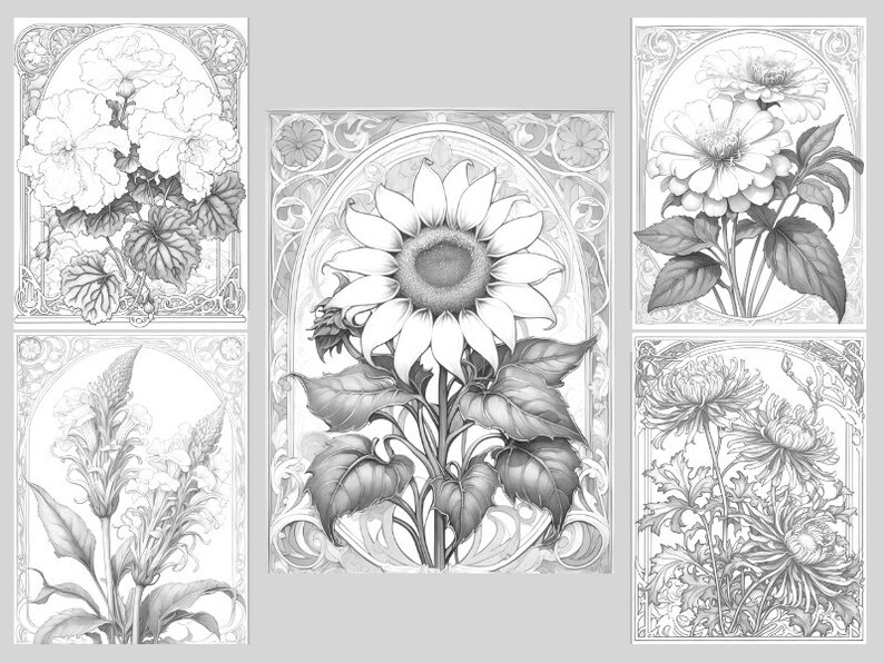 May include: Five black and white illustrations of different flowers in ornate frames. The flowers include a sunflower, a zinnia, a chrysanthemum, a begonia, and a flower with a long, thin stem.