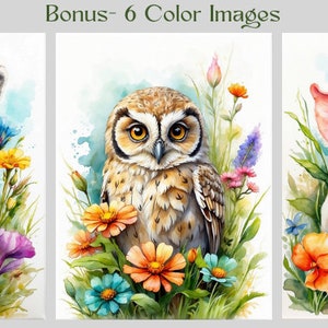 May include: Three watercolour paintings of animals in a field of flowers. A brown rabbit, a brown owl, and a pink pig.